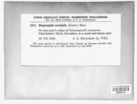 Image Associated With the Occurence